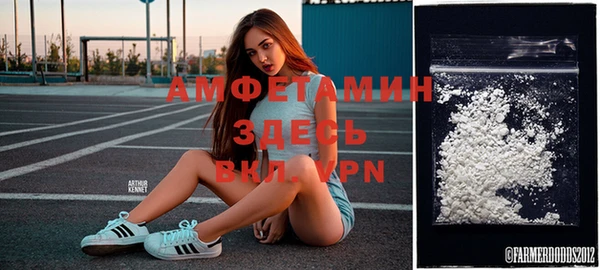 индика Белокуриха