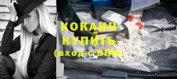 индика Белокуриха