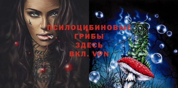 индика Белокуриха