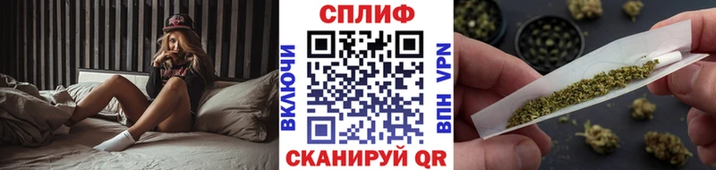 Купить  Старая Русса  Бошки Шишки MAZAR 